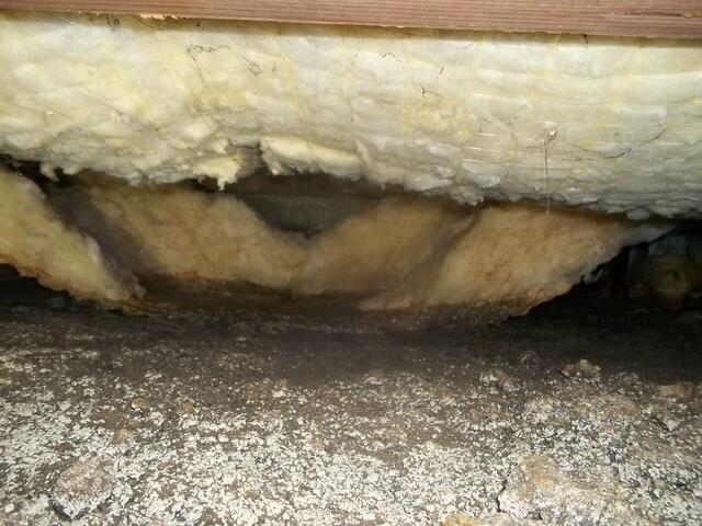 Mold spores thriving in damp Cotati, CA, crawlspace