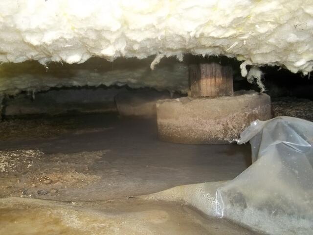 Don't wait until you see visible damage in your home crawlspace!