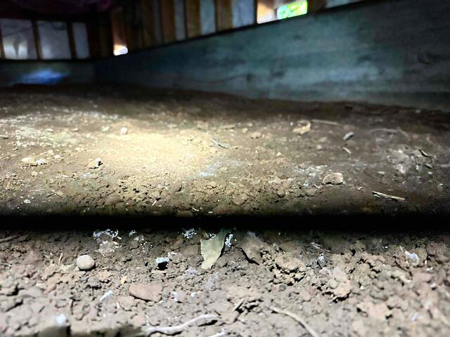 Mold spores thrive in wet crawlspace in Forestville, CA.