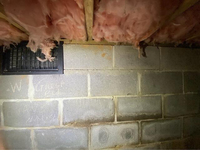 The foundation wall displayed clear signs of efflorescence (mineral deposits) due to persistent water infiltration.