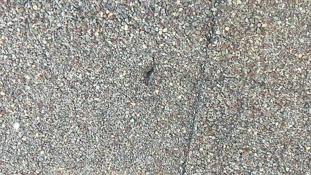 Pieces of the roof missing.