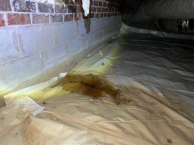 Wet and Saggy Crawl Space