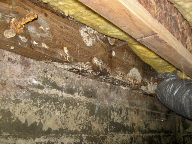 Dry rot in the floor joists of Sea Ranch, CA, home
