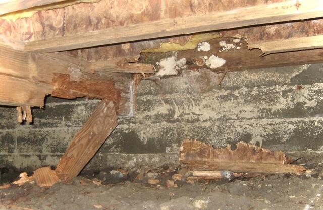 Warning signs in Sea Ranch, CA, home crawlspace: Dry rot