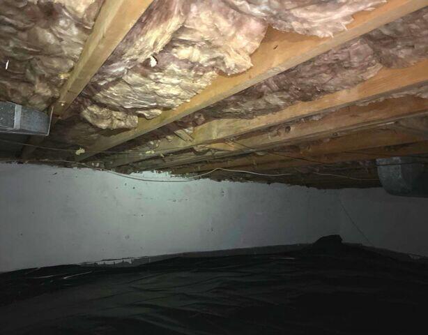 Old Insulation