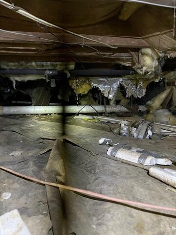 Original Crawl Space