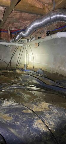Water Damaged Crawl Space