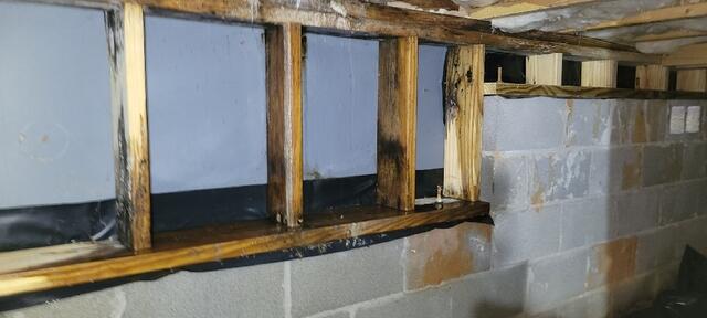 Wood Rot
