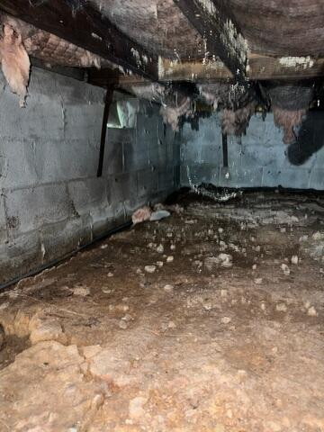 Before Atlanta Basement Systems
