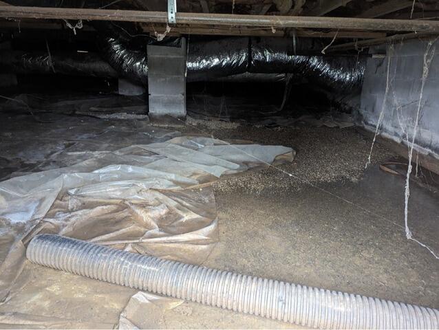 Excessive Moisture Buildup