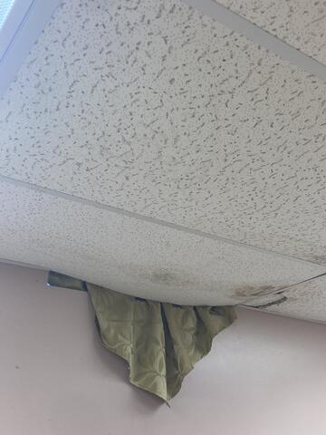 Ceiling Tiles Falling Down