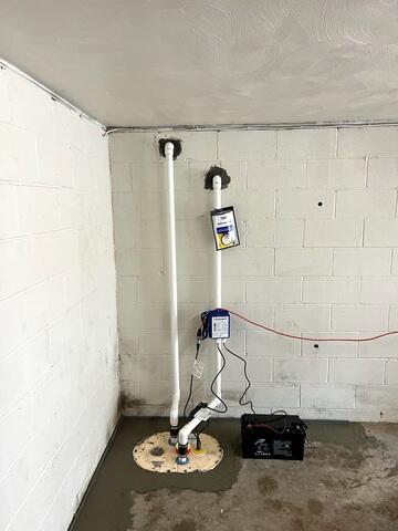 TripleSafe Sump Pump System