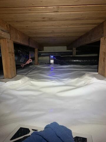 Annual Service in 2024