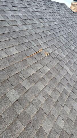 Damaged shingles