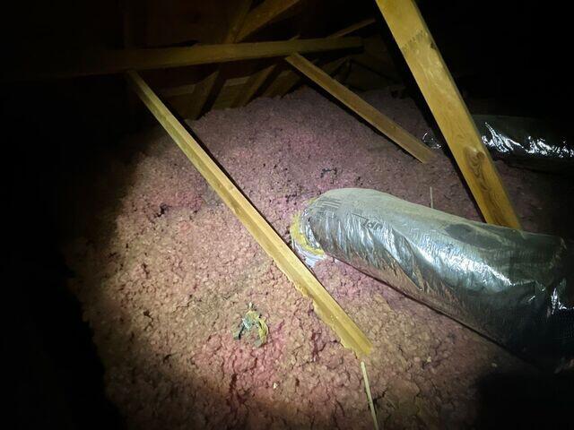The Old pink Insulation.