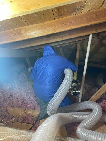 Technicians in the attic vacuum.