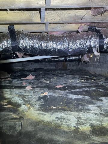 Pre-Repair Crawl Space