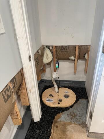 TripleSafe Sump Pump System