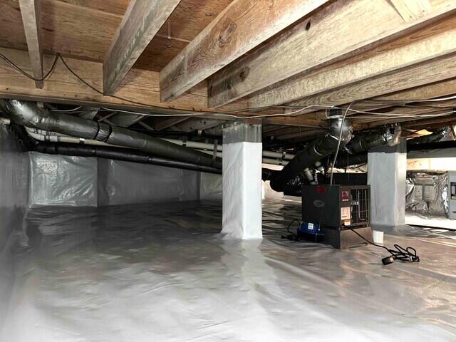 Musty Crawl Space