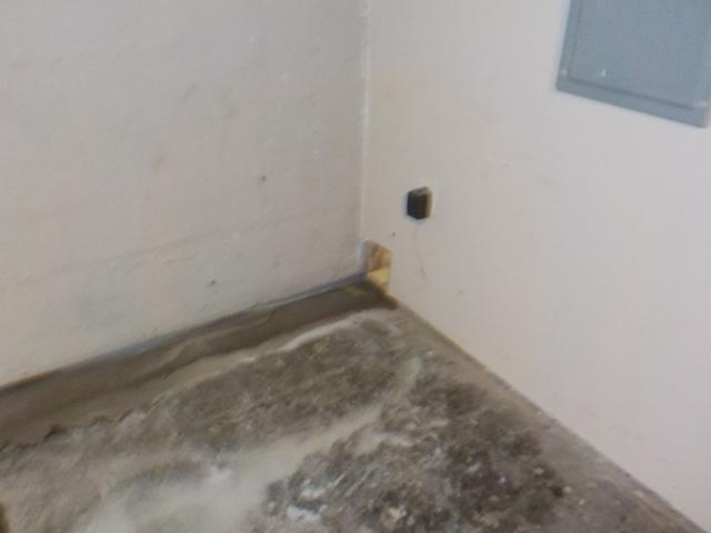 Wet Basement