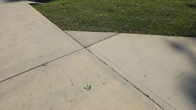 Settling Concrete Slabs