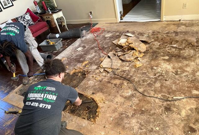 Subfloor Removal 1