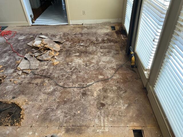 Wet & Moldy Subfloor