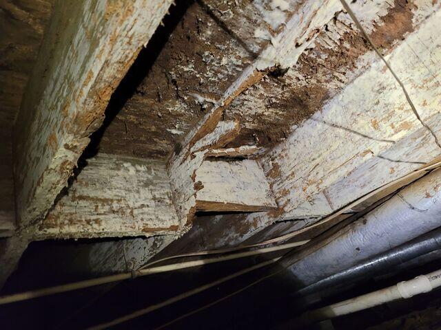 Subfloor Crawl Space View