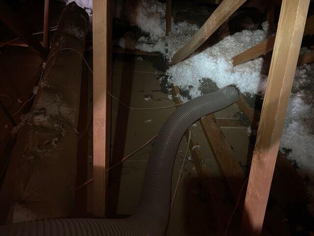 The hose to vacuum out the insulation.