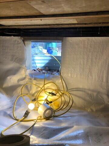 Crawl Space Entrance