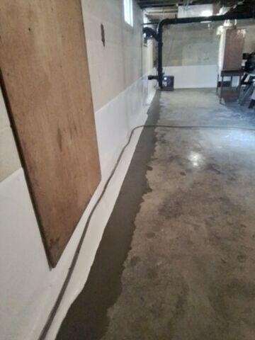 WaterGuard, CleanSpace, and Sedona