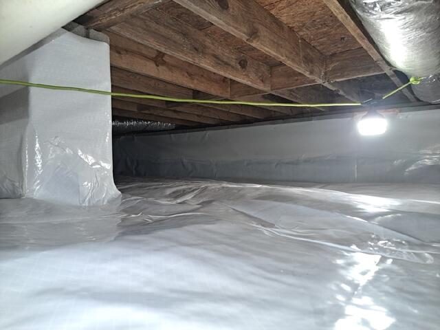 CleanSpace