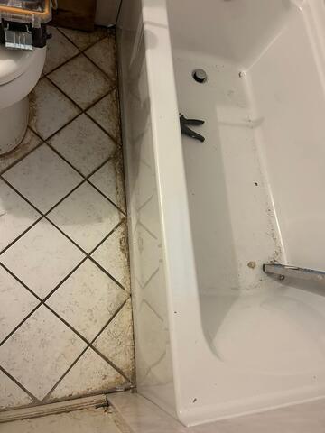 New Tub