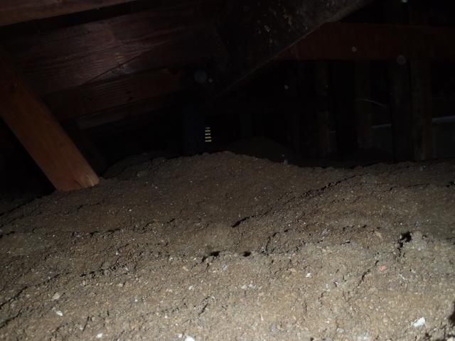 <p>This photo captures the old attic insulation before Dr. Energy Saver Delmarva removed it and replaced it with TruSoft Cellulose Insulation.  </p>