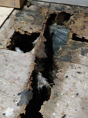 Wood Rot