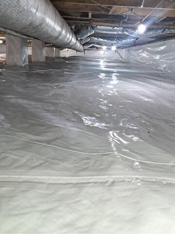 CleanSpace Liner