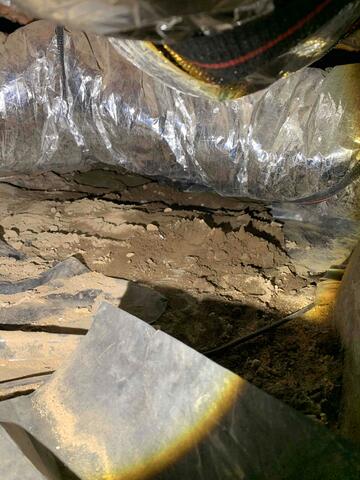 Damp and Exposed Earth