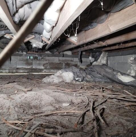 Crawl Space Inspection