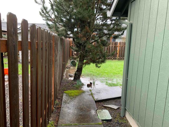 Back Yard Flooding