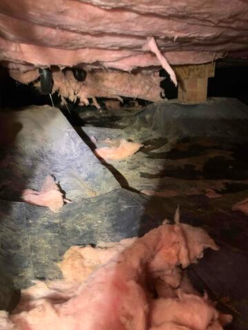 Inside the Crawl Space Before