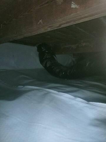 CleanSpace Vapor Barrier