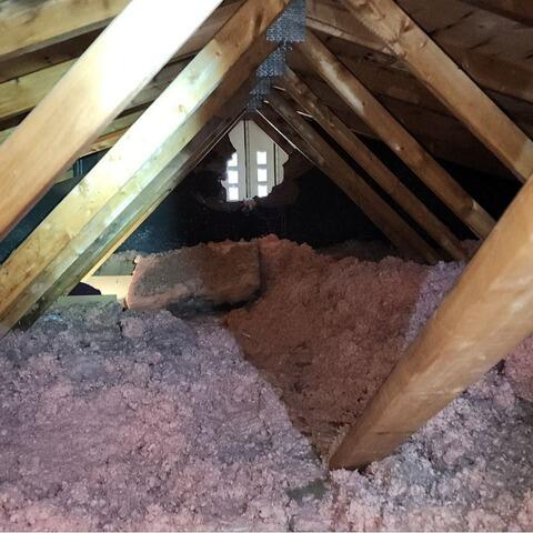 The Attic during our Inspection