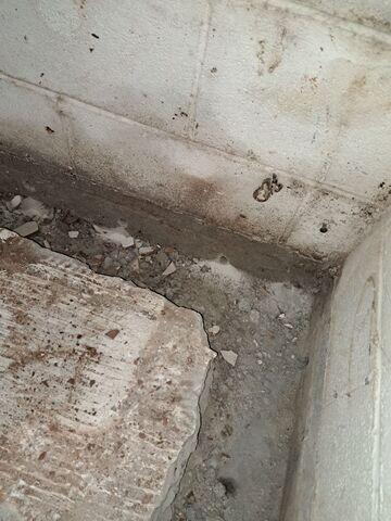 Trench Dug