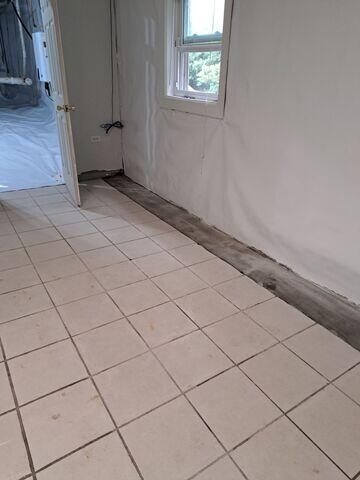 CleanSpace