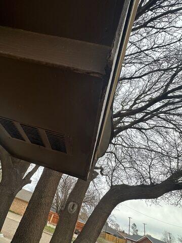 Damage to the fascia and Gutter board.
