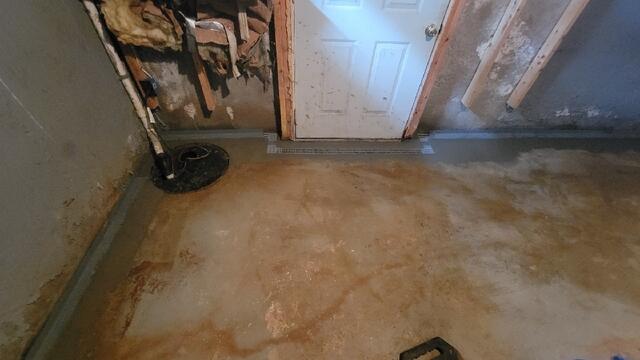 TrenchDrain at Basement Door