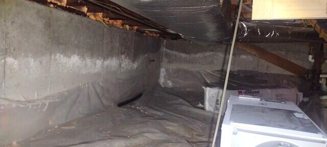 Musty Crawl Space