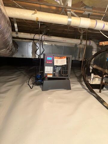 Damp Crawl Space