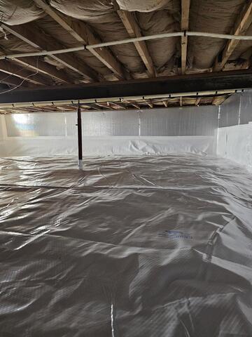 CleanSpace Liner