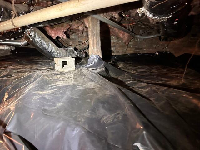 Crawl Space